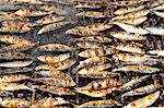 Grilled sardines. Winter Festivities. Grijo de Parada, Tras-os-Montes, Portugal