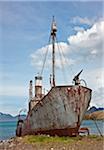 Das alte Walfang Boot, Sturmvogel in Grytviken, Südgeorgien s längste Walfangstation, laufen war Betrieb von 1904 bis 1965. Das 1928 erbaute Petrel Walfang bis 1956 diente für wann sie zum Abdichten umgewandelt wurde.