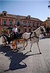 Spain, Andalusia, Seville; Horse-drawn carriage in the historic centre