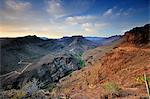 Barranco de Fataga. Gran Canaria, Kanarische Inseln