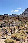 Teide National Park (Parque Nacional del Teide) est l'un des parcs nationaux plus visités dans le monde. Il est centré sur le volcan Teide, 3718m haute, la plus haute montagne d'Espagne. Tenerife, îles Canaries