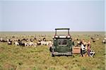 Safari vehicle parked in the short-grass plains of the Serengeti during the wildbeest migration, Serengeti National Park, Tanzania.