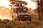 Safari-Fahrzeug auf einer Pirschfahrt in der Dämmerung in der Region Ndutu der Serengeti Nationalpark, Tansania.