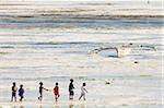 Tanzania, Zanzibar, Unguja, Jambiani. A group of boys walk along the beach at low tide.