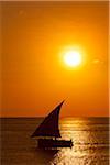 Tansania, Sansibar, Unguja, Stone Town. Eine Dhow Segel aus dem Hafen bei Sonnenuntergang.