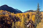 North America, USA, United States of America, Colorado, The Elk Range, Aspen village, Aspen