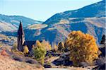 North America, USA, United States of America, Colorado, The Elk Range, Aspen, church in Aspen village
