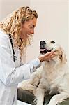 Veterinarian petting dog in office