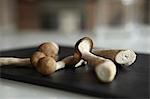 Close up of mushrooms on counter