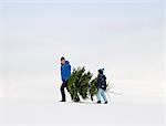 Père et fils transportant l'arbre de Noël