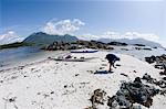 Woman looking for shells on beach, Esperanza Inlet, Vancouver Island, British Columbia, Canada