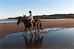 Young woman riding horse on beach