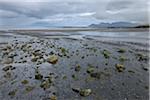 Shoreline, Snaefellsnes Peninsula, Vesturland, Iceland