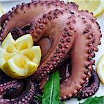 Octopus with Lemon, Isle of Procida, Province of Naples, Campania, Italy