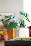 Small Potted Plat In Foreground On Table