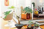 Maison moderne décoré de plantes en pot