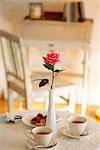 Pink Rose In Vase On Dinning Table