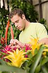 Jeune homme regardant des plantes exotiques en pots en serre