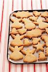 Christmas cookies on tray, view from above