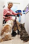 Senior femmes faisant la lessive avec les chiens