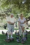 Senior couple feeding ducks