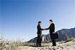 Two Businessmen Shaking Hands in the Desert