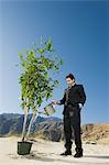 Businessman Watering Tree in the Desert