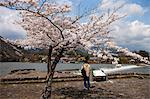 Fleur de la cerise à Arashiyama, Kyoto, Japon