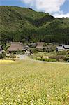 Traditional folk houses at Miyama-cho in autumn, Kyoto Prefecture, Japan