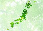 Îles japonaises de feuilles cordiformes (image de l'écologie)