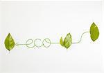 Leaves with word "eco"