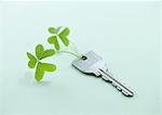 Key with leaf key chain (Ecology image)
