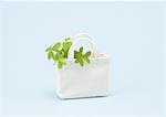 Image of eco bag