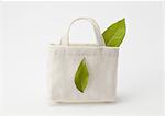 Leaf in eco bag