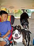 Young boy in back seat of car with two dogs