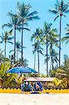 Guitars placed in beach chairs under palm trees and umbrella