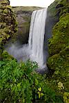 Cascade de Skogafoss, Islande