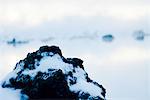 Roche volcanique couverte dans les gisements de silice, Blue Lagoon, péninsule de Reykjanes, Islande