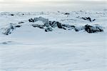 Roche volcanique recouvert de neige, la péninsule de Reykjanes, Islande