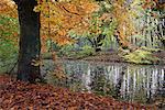 Ruhigen Teich im Herbst