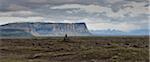 Islande, vue panoramique du champ de lave et falaises