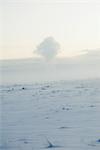 Geothermal steam, Reykjanes Peninsula, Iceland