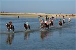 Touristes à cheval près de Sidi Garous, île de Djerba, en Tunisie, l'Afrique du Nord, Afrique