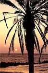 Lever du soleil près de Sidi Slim, île de Djerba, en Tunisie, l'Afrique du Nord, Afrique