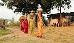 Lokale Frauen, die die verschiedenen Elemente auf ihren Köpfen, Saijpur Ras, Gujarat, Indien, Asien