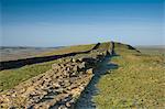 The width of the wall clearly seen looking west at Cawfields, Hadrians Wall, UNESCO World Heritage Site, Northumberland National Park, Northumbria, England, United Kingdom, Europe