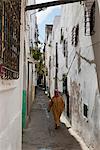 Medina, Tétouan, UNESCO World Heritage Site, Maghreb, Maroc