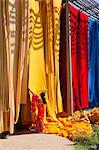 Woman in sari checking the quality of freshly dyed fabric hanging to dry, Sari garment factory, Rajasthan, India, Asia