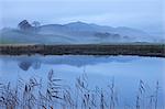 Rivière Brathay un matin brumeux près de Elterwater, Lake District, Cumbria, Angleterre, Royaume-Uni, Europe