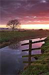 Somerset Levels Sonnenaufgang über den River Brue, in der Nähe von Glastonbury, Somerset, England, Vereinigtes Königreich, Europa